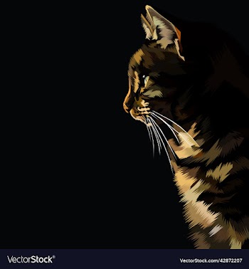 colorful cat