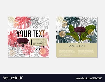 colorful design template set dark purple tacca