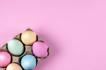 Colorful Easter Eggs in Carton on Pink Background