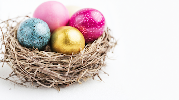 Colorful Easter Eggs in Rustic Bird Nest