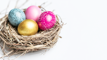 Colorful Easter Eggs in Rustic Bird Nest