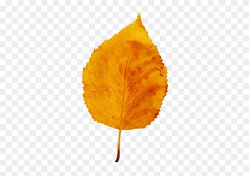 Colorful Fall Leaves Clip Art - Yellow Fall Leaf