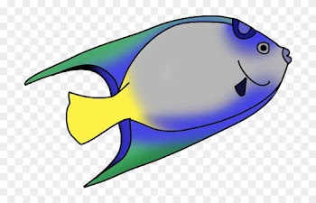 Colorful Fish Clip Art - Transparent Background Fish Clipart
