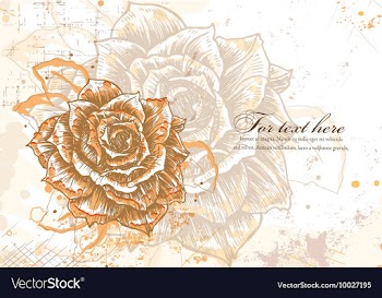 Colorful floral background vector image