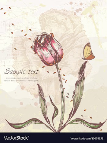 Colorful floral background vector image
