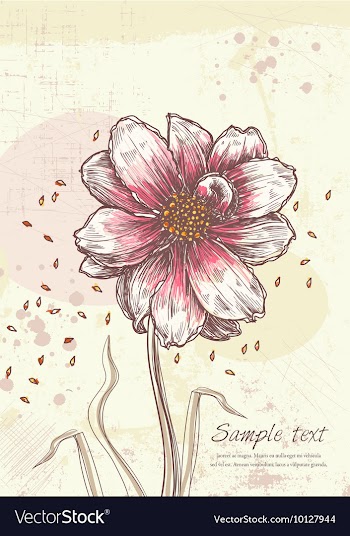 Colorful floral background vector image