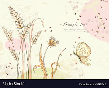 Colorful floral background vector image