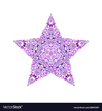 Colorful floral mosaic ornament star logo template vector image