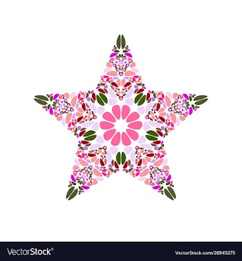 Colorful floral mosaic ornament star symbol vector image