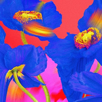 Colorful flower background wallpaper, trippy… | Free stock illustration | High Resolution graphic