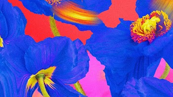 Colorful flower background wallpaper, trippy… | Free stock illustration | High Resolution graphic