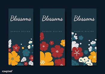 Colorful flower card template set | Free stock vector - 553161
