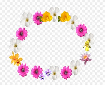 Colorful Flower Frame By Supremechaos918 - Colorful Flowers Frame Png