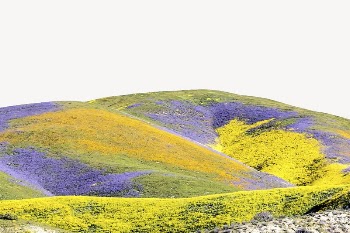 Colorful flower hill border, Spring | Free PSD - rawpixel