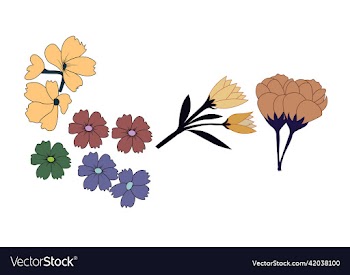 colorful flowers