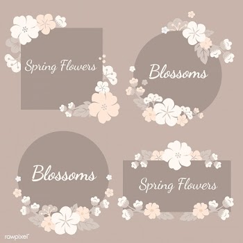 Colorful flowers set | Free stock vector - 553084