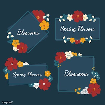 Colorful flowers set | Free stock vector - 553086
