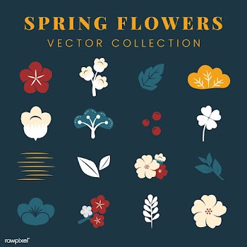 Colorful flowers set | Free stock vector - 553108