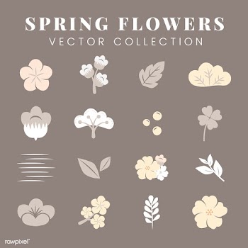 Colorful flowers set | Free stock vector - 553110