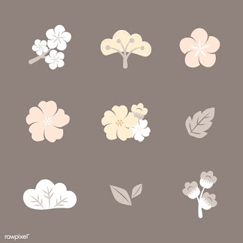 Colorful flowers set | Free stock vector - 553117