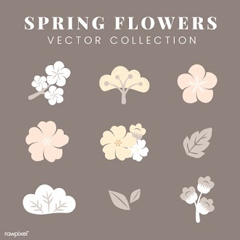 Colorful flowers set | Free stock vector - 553119