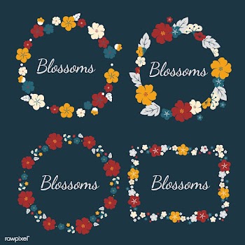Colorful flowers set | Free stock vector - 553139