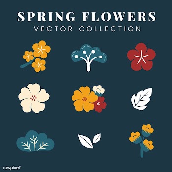 Colorful flowers set | Free stock vector - 553159