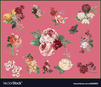 colorful flowers watercolor collection