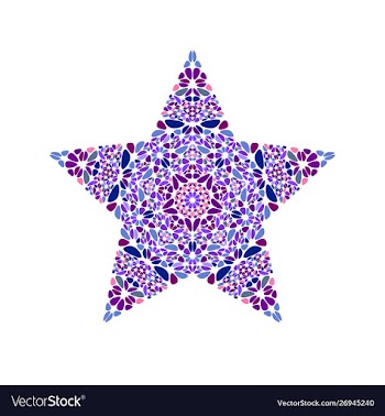 Colorful geometrical abstract flower star symbol vector image