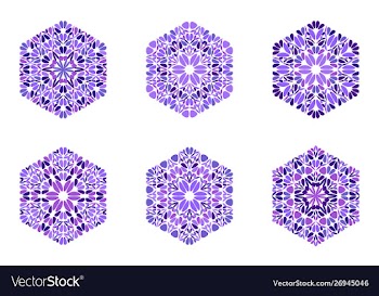 Colorful geometrical abstract petal ornament vector image