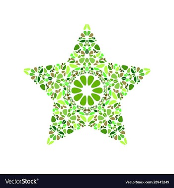 Colorful geometrical abstract stone ornament star vector image
