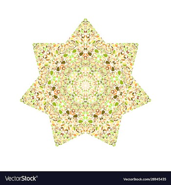 Colorful geometrical floral mosaic star symbol vector image