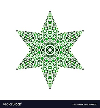 Colorful geometrical isolated floral mosaic star vector image