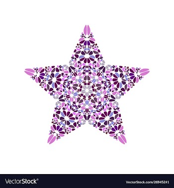 Colorful geometrical isolated petal ornament star vector image