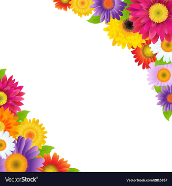 Colorful Gerbers Flowers Border Royalty Free Vector Image