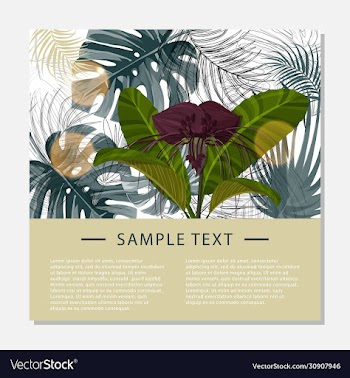 colorful green design template dark purple tacca