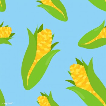 Colorful hand drawn corn pattern | Free stock vector - 416997
