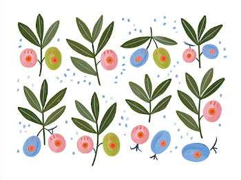 Colorful Hand-Drawn Olive Illustration