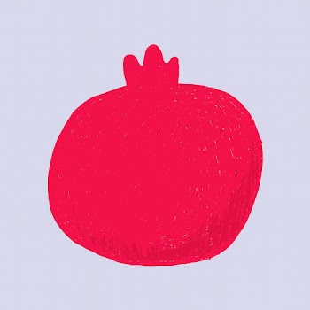 Colorful hand drawn pomegranate fruit vector