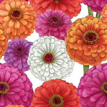 Colorful Hand-Sketched Zinnias Pattern