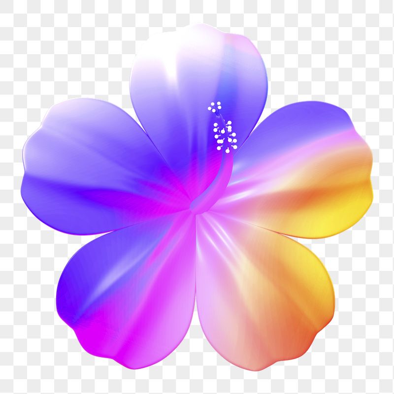 Colorful hibiscus png sticker, 3D | Free PNG - rawpixel