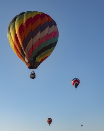 colorful hot air balloons