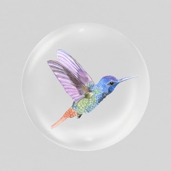 Colorful hummingbird sticker, animal in bubble | Free PSD - rawpixel