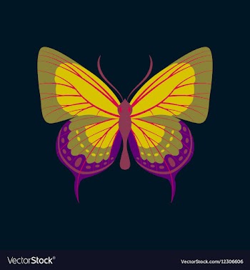 Colorful icon of butterfly isolated on dark blue vector image