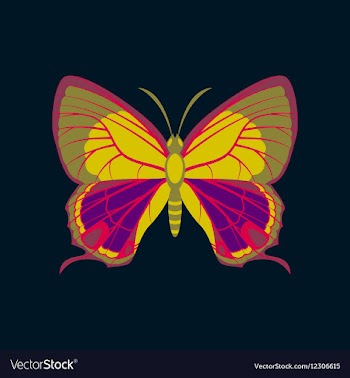 Colorful icon of butterfly isolated on dark blue vector image