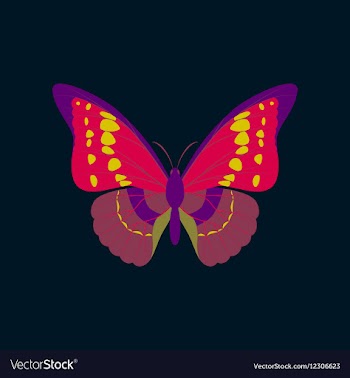 Colorful icon of butterfly isolated on dark blue vector image