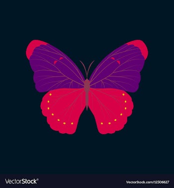 Colorful icon of butterfly isolated on dark blue vector image