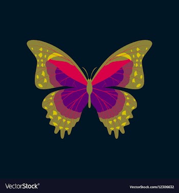 Colorful icon of butterfly isolated on dark blue vector image
