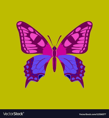 Colorful icon of butterfly isolated on green vector image