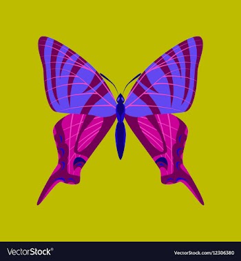 Colorful icon of butterfly isolated on green vector image